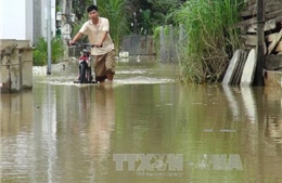 Khánh Hòa nỗ lực khắc phục hậu quả thiệt hại do mưa lũ 
